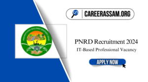 PNRD Recruitment 2024: IT-Based Professional Vacancy