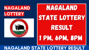 Nagaland State Lottery Result Today - 1PM, 6PM, 8PM