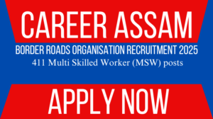 Border Roads Organisation Recruitment 2025 - Assam Career