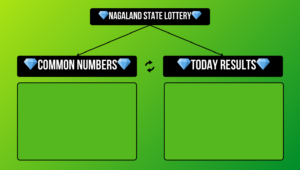 Nagaland State Lottery Common Number